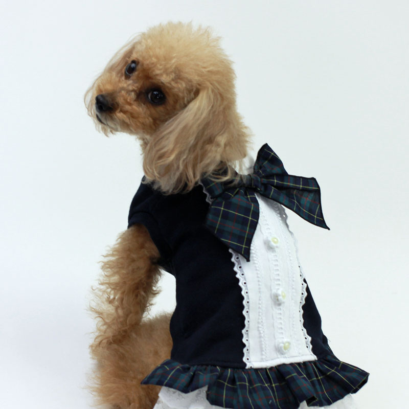 �Υץ����ǡ�������������ϥХå��졼������˥å�