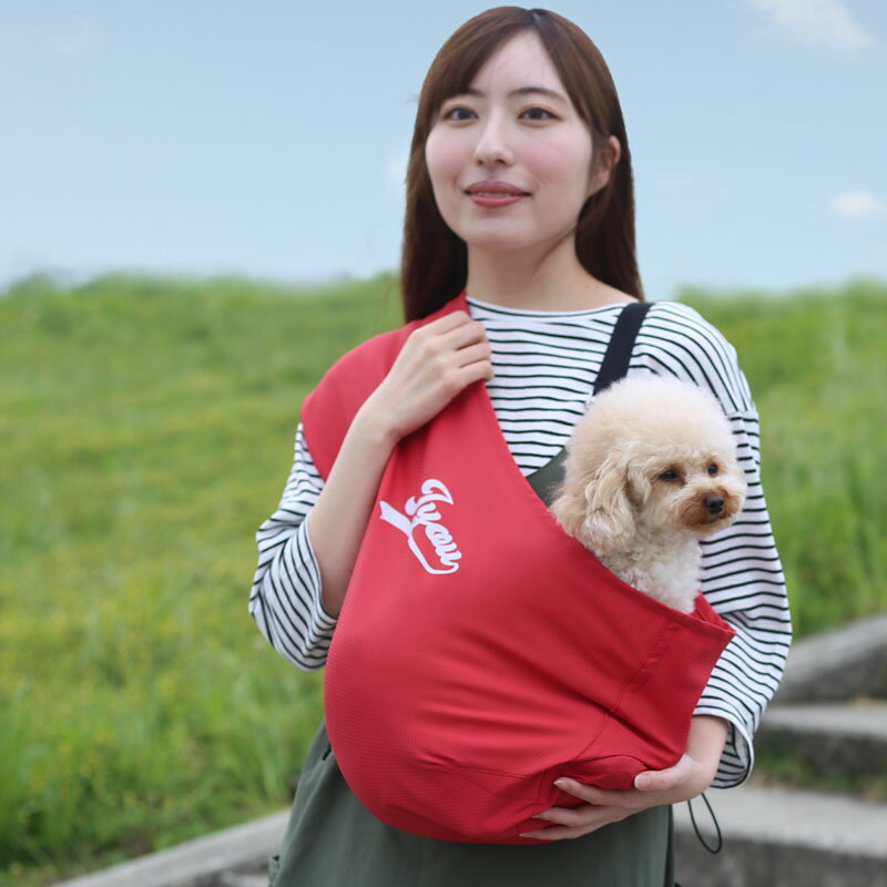 ������MAX����ѥ��ȥɥӡ�����ɥå����������̾����ץ���(����ե��٥åȡ�