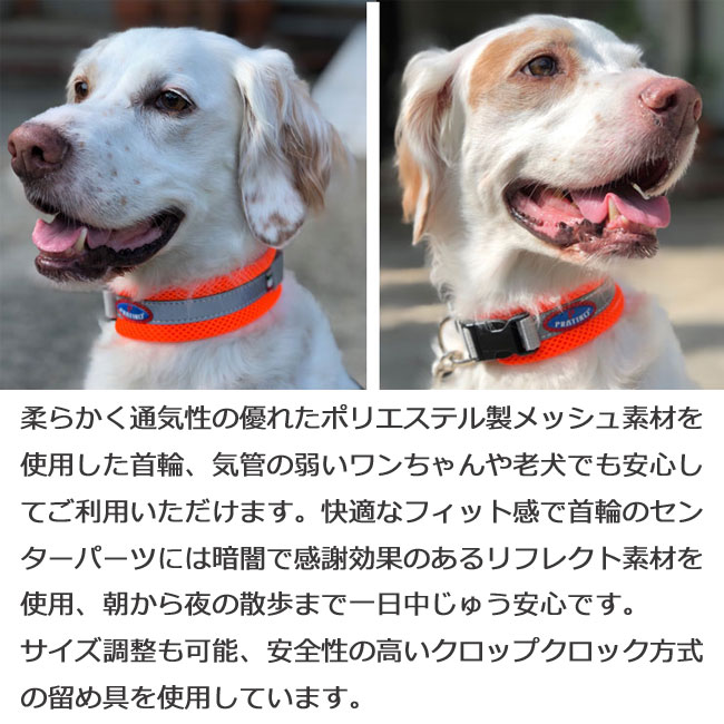 PRATIKO プラティコ　エアーメッシュカラー・首輪　Mサイズ　中型犬用 光る 名前入れ ペット ペットグッズ 犬用品 首輪