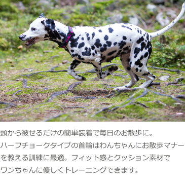 ルッカ ソリッドウェブカラー（首輪） Lサイズ クッション付きハーフチョークカラー大型犬　犬用品　首輪　トレーニング