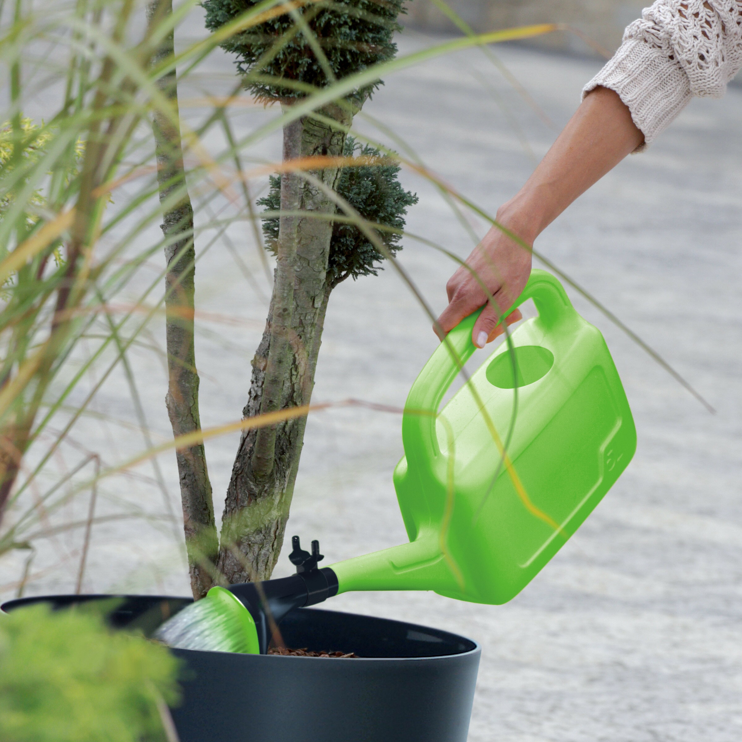 new ポーランド製 ジョーロ Prosperplast プラスパープラスト AQUAウォータリング...