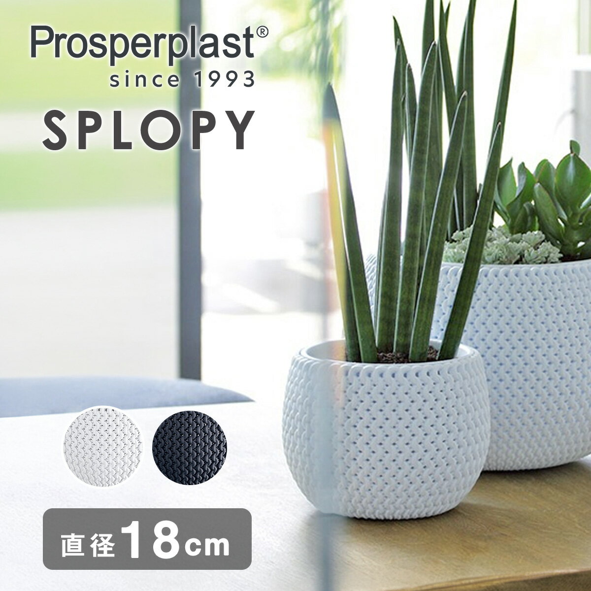 Rakuten - new 植木鉢 5号 鉢カバー おしゃれ 室内 Prosperplast プラスパープラスト SPLOPY ボウルポット