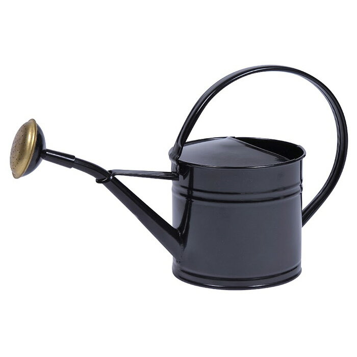 ���ȥ륳���� �֥ꥭ ���硼���ڥ֥ꥭ����������󥰥��� 1.5L�� �����ǥ˥� ���տ�ʪ �̲� ���祦�� ���礦�� ���硼�� ��ȥ� ���� �������