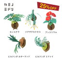 【25％OFF】＼ペーパークラフト／【カミノミドリ】 インテリア 紙 立体模型 工作 モンステラ ビカクシダ おしゃれ