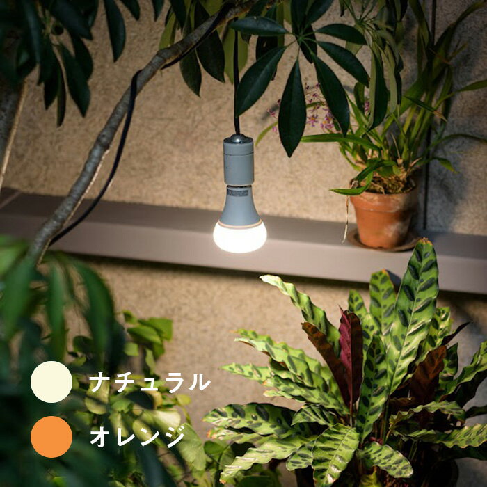 ＼植物育成ライト／ LED【育てるあかり ナチュラル オレンジ】 LED led ライト e26 観葉植物 多肉植物 アガベ インテリア おしゃれ おすすめ