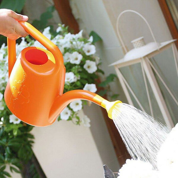 ���ݡ��������� ���硼�� ��PROSP KONI����������󥰥���� ���տ�ʪ ��� ���ߥ���ƥꥢ ������� ���襤�� �������� ���礦�� ���祦�� ���硼��