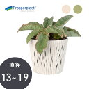 \ポーランド製/ 鉢カバー 【PROSP SANDY(サンディ)エコポット】 観葉 植物 再生プラスチック サステナブル エコ インテリア おしゃれ かわいい 鉢 プランターカバー
