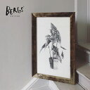 【スーパーSALE期間中 P5倍】 楽天限定 BERGS POTTER バーグスポッター ボタニカルアート ポスター 北欧 デンマーク コペンハーゲン 鉢 アー...