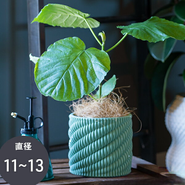 Rakuten - 【マラソン期間中 P5倍】 植木鉢 リップルシリンダーポット 鉢 ガーデニング インテリア おしゃれ モダン マンション ベランダ ガーデン 玄関 テラス 屋内 屋外 観葉植物 底穴あり グリーン