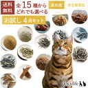 【2点購入で3%OFF】猫用 全15種から選べる 高知産 無添加 おやつ お試し 4点セット かつお 無塩 減塩 国産 オヤツ 詰め合わせ ギフト ペット ご褒美 猫のおやつ 楽天 猫おやつ 高級 猫オヤツ 猫用おやつ 猫のごはん 猫のご飯