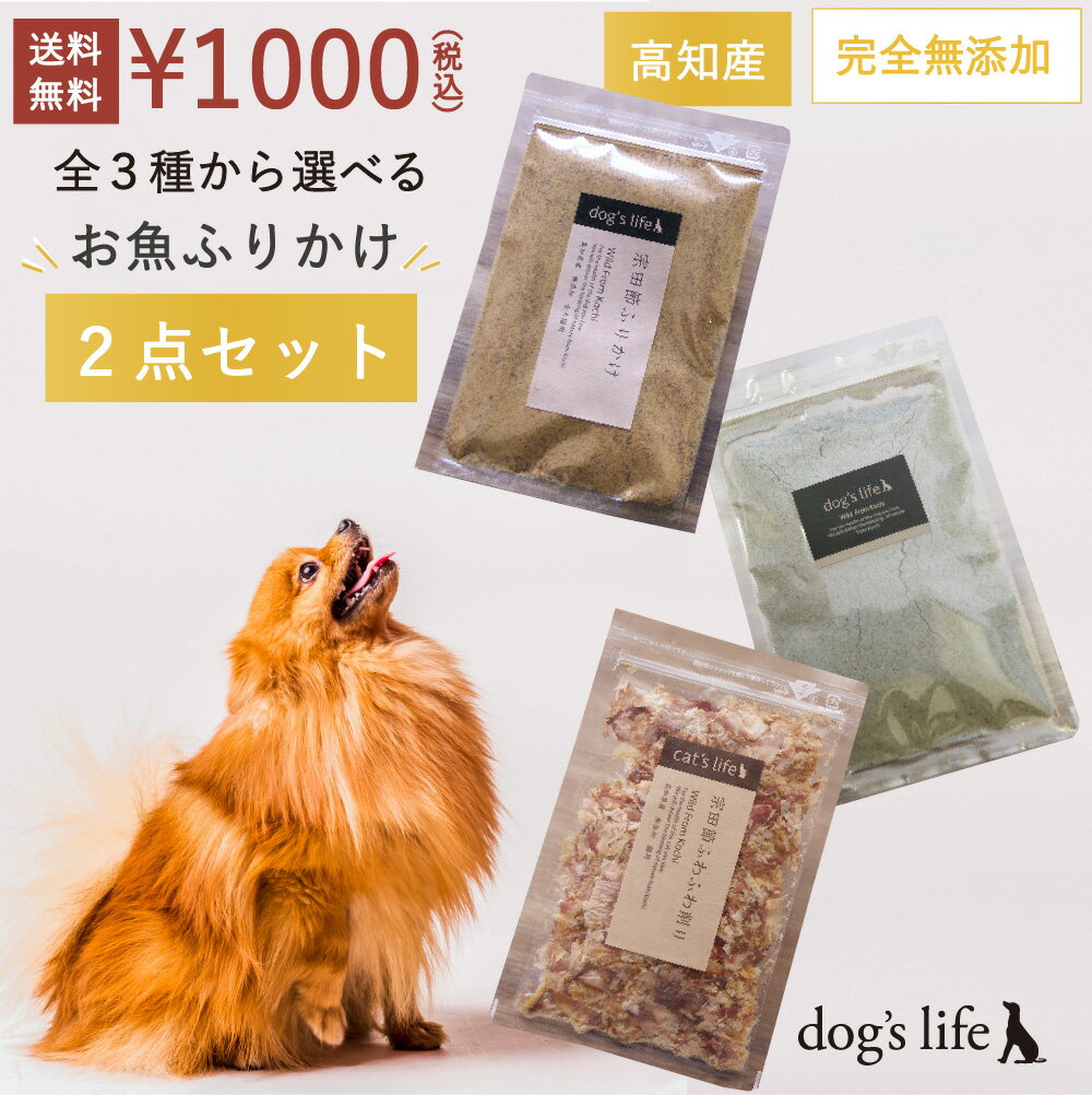 ＼P10倍！さらに2点以上で250...