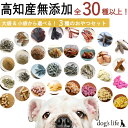 【20時〜P5倍&15%OFFクーポン|レビュー特典付き】 犬用 全30種から選べる 高知産 無添加 おやつ 3種セット かつお 無塩 減塩 国産 オヤツ 詰め...