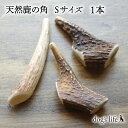 \P5倍&2点購入で5%OFF/【 Sサイズ (8cm~10cm) |小型犬用 】 犬 犬用 噛む おもちゃ 鹿の角 鹿角 高知県産 角ガム 天然 鹿 おもちゃ...