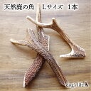\P5倍&2点購入で5%OFF/【 Lサイズ (15cm~20cm) |中・大型犬用 】 犬 犬用 噛む おもちゃ 鹿の角 鹿角 高知県産 角ガム 天然 鹿 お...