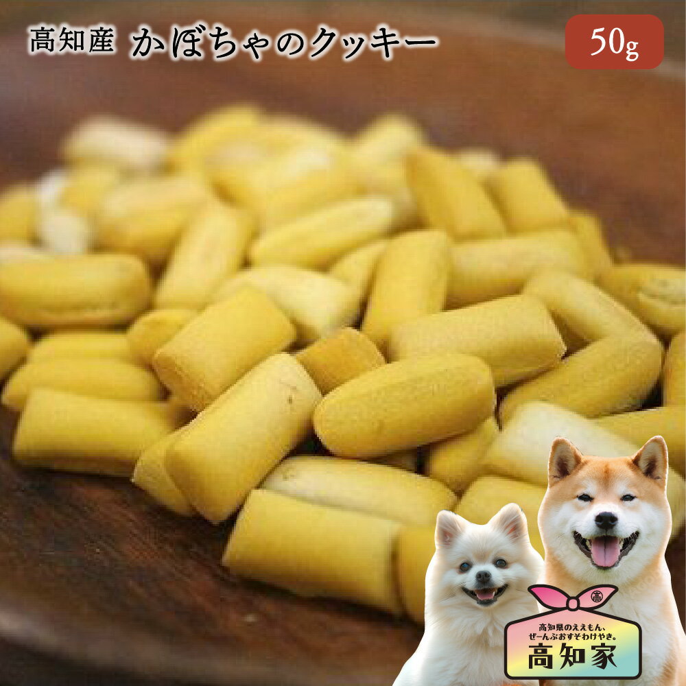 【高知県産｜50g 】 犬のおやつ かぼちゃ クッキー 野菜 パンプキン トリーツ 無添加 国産 お試し 犬用 犬 おやつ クッキー かぼちゃ カボチャ ビスケット・クッキー 楽天 お菓子 高品質 犬 大型犬 成犬 シニア犬 犬用おやつ 犬おやつ国産無添加 犬用クッキー