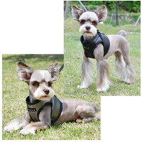 犬用猫用