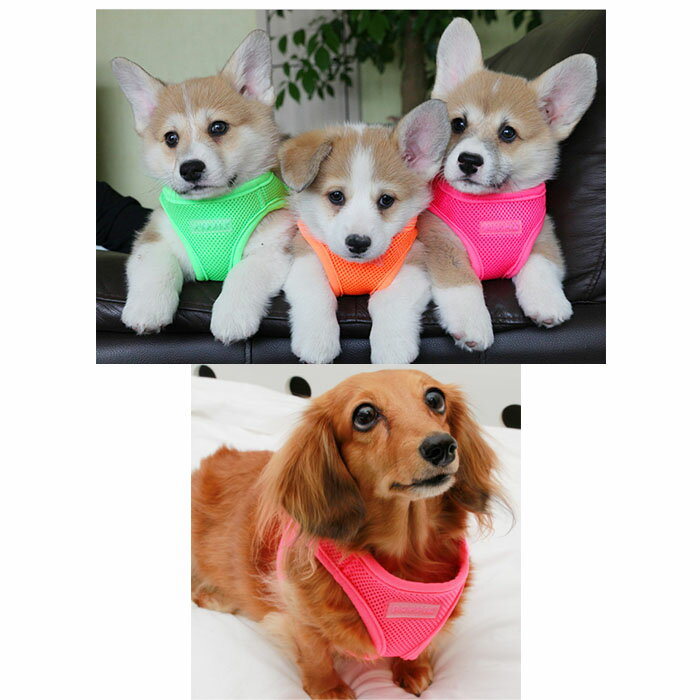 ネオンソフトベストハーネスB:XS, S, M...の紹介画像3