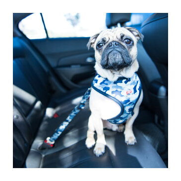 犬用 ボビー車用シートベルトリード BOBBY SEATBELT：S,M,Lサイズ PUPPIA パピア ペット ドッグ