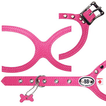 胴輪 ハーネス バディベルト 2号 ホットピンク HOT PINK BUDDY BELT BUDDYBELT ペット 犬 レザー 本革 犬 犬用 ドッグ バディーベルト正規輸入代理店 正規店