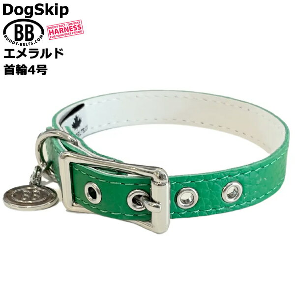 樂天商城 - BB 首輪 エメラルド 4号 ID カラー バディーベルト buddybelt バディベルト シンプル かわいい おしゃれ カラー かっこいい ブランド オシャレ チワワ トイプードル 超小型犬 小型犬 中型犬 大型犬 シンプル 柴犬 フレンチブルドッグ チワワ トイプードル マルチーズ