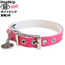 BB 首輪 ホットピンク 2号 ID カラー バディーベルト buddybelt バディベルト シンプル かわいい おしゃれ カラー かっこいい ブランド オシャレ チワワ トイプードル 超小型犬 小型犬 中型犬 大型犬 シンプル 柴犬 フレンチブルドッグ チワワ トイプードル マルチーズ