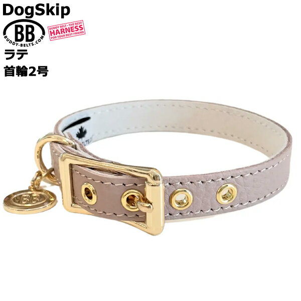 樂天商城 - BB 首輪 ラテ latte 2号 ID カラー バディーベルト buddybelt バディベルト シンプル かわいい おしゃれ カラー かっこいい ブランド オシャレ チワワ トイプードル 超小型犬 小型犬 中型犬 大型犬 シンプル 柴犬 フレンチブルドッグ チワワ トイプードル マルチーズ