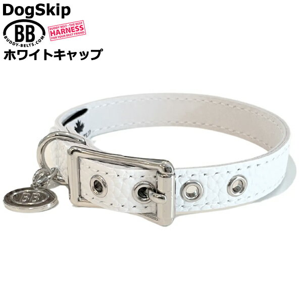 BB 首輪 ホワイトキャップ 1号 ID カラー バディーベルト buddybelt バディベルト シンプル かわいい おしゃれ カラー かっこいい ブランド オシャレ チワワ トイプードル 超小型犬 小型犬 中型犬 大型犬 シンプル 柴犬 フレンチブルドッグ チワワ トイプードル マルチーズ