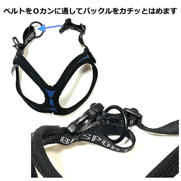 �Хǥ����٥�� BB���ݡ��ĥϡ��ͥ� 8�� ������ �ڥå� BUDDYBELT �Хǥ��٥�� ���� ƹ�� ��󥰥ϡ��ͥ� �ᥬ�ͥϡ��ͥ� �ܥǥ��٥�� �Хǥ����٥������͢������Ź ����Ź