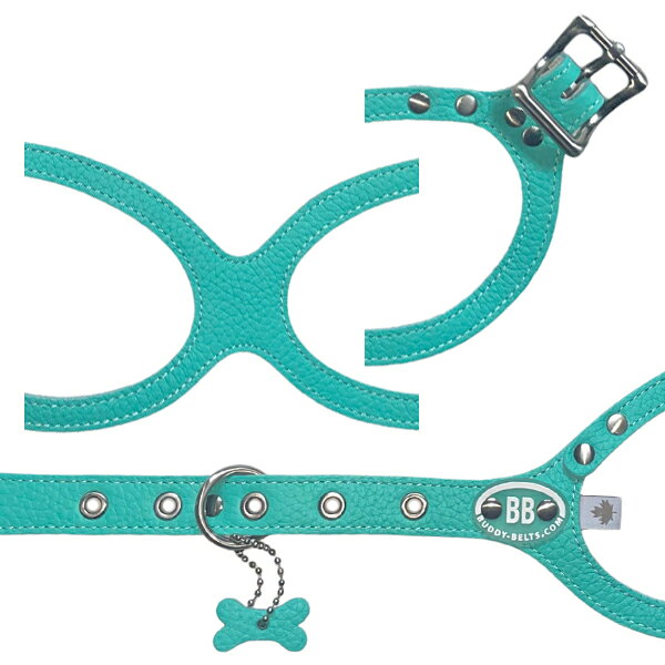 バディーベルト ハーネス 4.5号 ロビンズエッグブルー Robin’s Egg Blue Tiffurny 小型犬 ペット レザー 本革 BUDDYBELT バディベルト 犬用 胴輪 リングハーネス メガネハーネス ボディベルト バディーベルト正規輸入代理店 首輪 犬の首や気管に優しい究極のハーネス 卸販売 dogskip-10088686 犬服,ドッグウェア DogSkip サンプル画像3