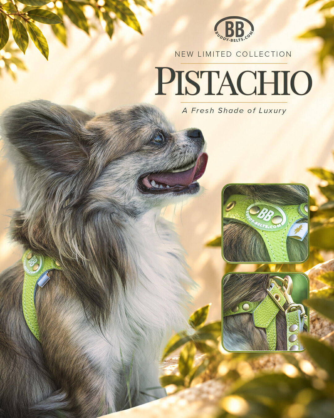 バディーベルト ハーネス ピスタチオ 2号 スワロフスキークリスタル付 Pistachio 小型犬 中型犬 ペット レザー 本革 BUDDYBELT バディベルト 犬用 胴輪 リングハーネス メガネハーネス バディーベルト正規輸入代理店 首輪 犬の首や気管に優しい究極のハーネス 卸販売 dogskip-10091263 犬服,ドッグウェア DogSkip サンプル画像2