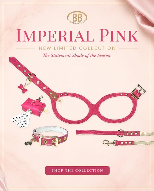 犬服,ドッグウェア DogSkipのBBバディーベルト プーパース インペリアルピンク Imperial Pink 小型犬 中型犬 ペット レザー 本革 BUDDYBELT バディベルト 犬用 バディーベルト正規輸入代理店 首輪｜アングル2