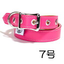 犬の首輪 7号BBマッチングカラー ホットピンク・HOT PINK 犬 犬用 ペット ドッグ バディーベルト正規輸入代理店 正規店