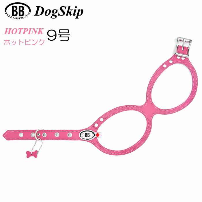 ƹ ϡͥ Хǥ٥ 9 ۥåȥԥ HOT PINK ڥå  쥶 ܳ 緿 BUDDY BELT BUDDYBELT   ڥå ɥå Хǥ٥͢Ź Ź