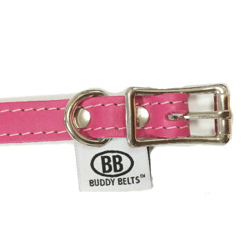 犬用猫用の首輪 4号 BBマッチングカラー ホットピンク スワロフスキークリスタル付 HOTPINK バディーベルト BUDDYBELT ペット ドッグ バディーベルト正規輸入代理店 正規店