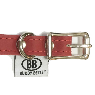 犬猫用の首輪 BBマッチングカラー5号 スワロフスキークリスタル付 BUDDY BELT BUDDYBELTS バディーベルト ペット ドッグ バディーベルト正規輸入代理店 正規店