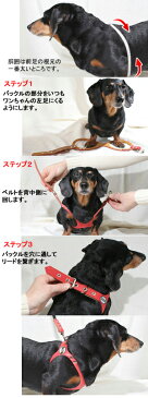 胴輪 ハーネス バディーベルト 10号 ペット 犬 レザー 本革 大型犬用 BUDDY BELT BUDDYBELT 犬 犬用 ペット ドッグ バディーベルト正規輸入代理店 正規店