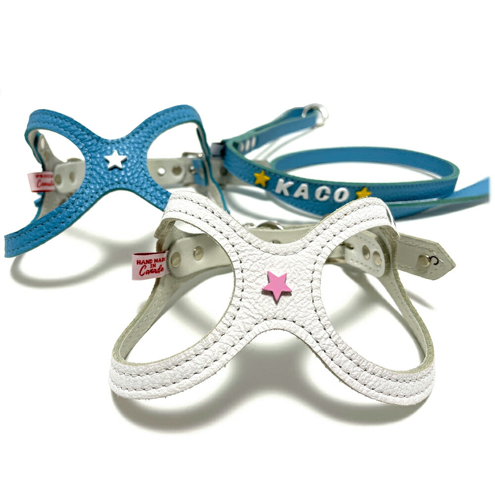 �֥ѡ��ĥʥ�С�0064 �ե�åȥ������ץХǥ����٥�ȥ������ޥ����ѡ��� buddybelts