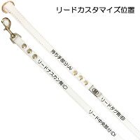 バディーベルトカスタマイズ工賃buddybeltcustomizebuddybeltscustomsバディーベルト正規輸入代理店正規店