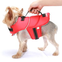 犬用