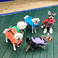 犬用
