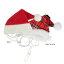 ֥˹ҡS,M,L SANTA'S HAT 30ʾǰƤPUPPIAѥԥ pddf-sh23   ڥå ɥåפ򸫤