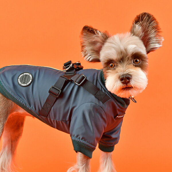 国内配送 犬用 ドミニクハーネスジャンパー Dominic Xlサイズ 胴輪 Puppia パピア ペット ドッグ 犬服 ドッグウェア Dogskip Twistedpuppy Com