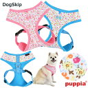 p  Cht[n[lXA WILDFLOWER HARNESS AFXLTCY PUPPIA psA ybg hbO