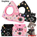 p  fBr[gn[lXBFS,M,LTCY LADY BEETLE HARNESS B PUPPIA psA ybg hbO