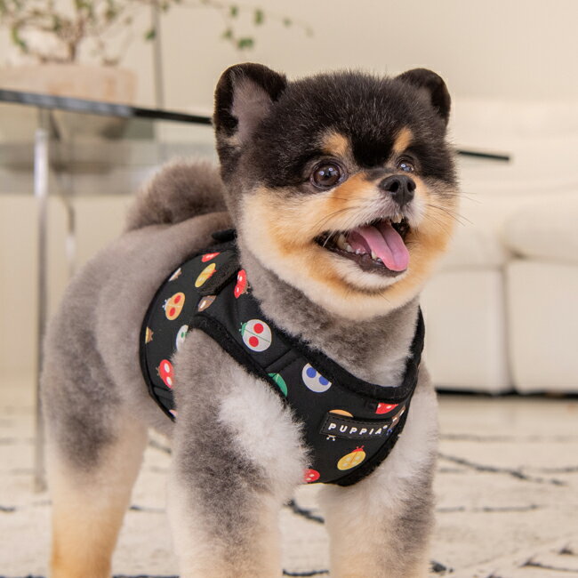 犬用 胴輪 レディビートルハーネスB：XLサイズ LADY BEETLE HARNESS B PUPPIA パピア ペット ドッグ 2