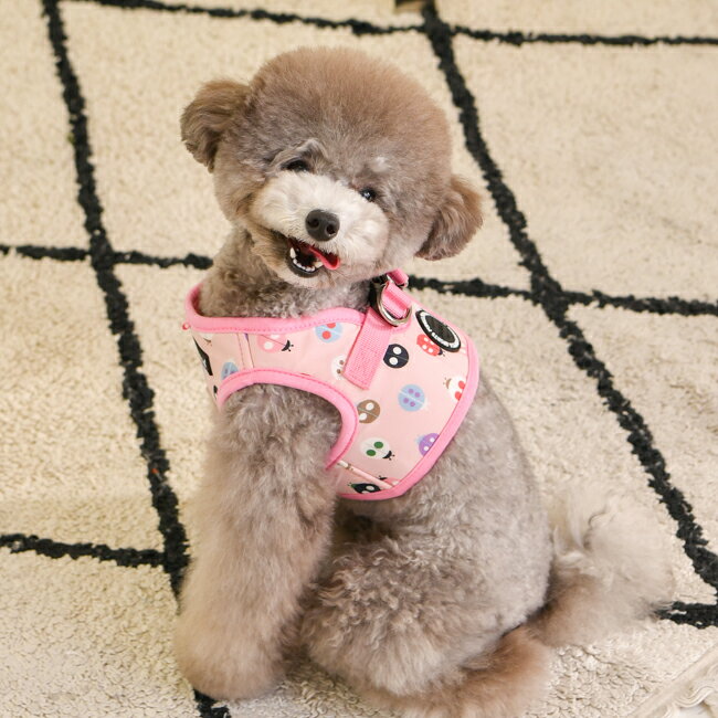 犬用 胴輪 レディビートルハーネスB：XLサイズ LADY BEETLE HARNESS B PUPPIA パピア ペット ドッグ 3