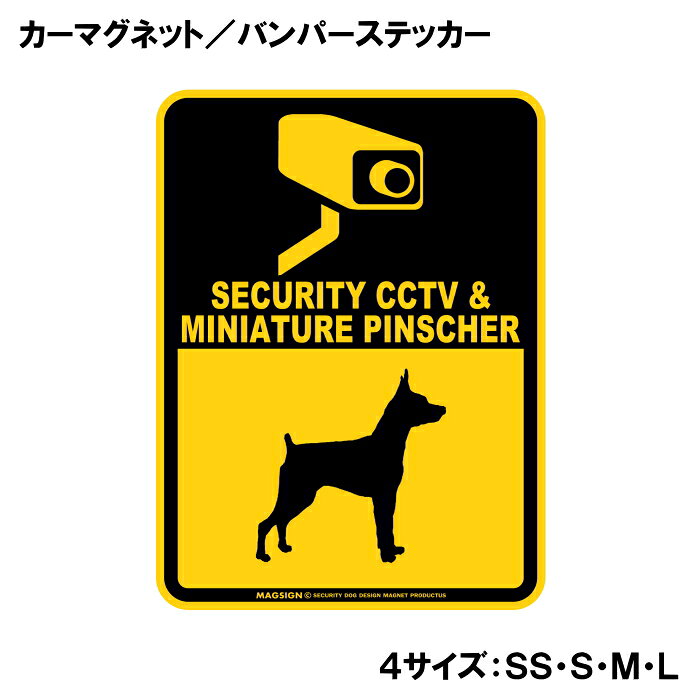 SECURITY CCTV ＆ MINIATURE PINSCHER（防犯カメラとミニチュアピンシャーが警戒中）って英語で注意書きしたアメリカンデザインのカーマグネット＆バンパーステッカー。ブラックとイエローカラーの配色がよく目立ち、防犯カメラによる監視と愛犬の警戒しているイラストで不審者への注意を知らせます。また愛犬とのドライブや運転中の不本意な【あおり運転抑止対策】に、自動車後部の目立つところに貼って使うのをおすすめします！ 【表面素材】透明なポリエステル(PET)フィルムで覆われ、表面に美しい艶と光沢があります。また、ラミネートコーティングで水分の浸食や紫外線からの色褪せと劣化を防ぎ、摩擦キズに強く、耐水性と耐光性を兼ね揃えています。 【耐久性能】防水性能：5000時間、耐光性能：20000時間。水に強い塗料に丈夫で破れにくいポリエステル(PET)フィルムを使用し、自動車や玄関周辺など屋外で長期間、鮮やかな状態を保ちます。 【強磁力マグネット】裏面全面が強力磁石となり端や角までピッタリくっ付いて、強風下でもはずれにくい、飛び落ちにくいようになっています。マグサイン独自の日本国内製造品で、一般的な同じ厚みの製品と比べて1.5倍から2倍も強い吸着力があり、しっかりと貼り付けられます。 マグネティックサインボードにも！ 丈夫な表面フィルムと割れにくいマグネットベースのため、クギやネジで壁に貼り付けたり、穴をあけてフェンスに結び付けるなどと、一般的なサインプレートのようにお使い頂けます。 【強粘着ステッカー】強い粘着力のステッカーで端や角までしっかりと貼り付けられる。マグサイン独自の日本国内製造品で、ポリエステル(PET)フィルムを使用しているため破れに強く、廉価な海外製品やペーパーベース品と違い、貼ってはがす際のステッカー跡が残りにくくなっています。 目指したのは愛犬家が求めたタフな一枚 屋外で長期間使用できる耐久力を追い求め、高い防水/耐水性と耐光/耐候性を備えました。 英文でスマートにドッグライフを演出する アメリカンなスタイルとセンスを兼ね備え、ご愛犬のアピールや注意喚起にご使用ください。 鮮やかな配色とデザインで視認性を向上 英語をよく知らない小さなお子様やご年配の方に、遠くからでも犬の存在がわかりやすい。 ＜製品のお取扱いについて＞ ステッカーの使い方 ○ガラス・プラスチック・金属製品など、表面がツルツルしている平らな面に適しています。 ×木材・コンクリート・壁紙など、表面がザラザラしている面や球面、汚れている場所へは不向きです。また、貼り直しは不可で、ステッカーにシワや折り目ができます！ ・ステッカーを使用する前に、貼る面のほこり、水分、油などの汚れをよく拭き取ってください。 ・曲面に貼るときはすぐに手をはなさず、はがれないようしっかりと力を加えながら、しばらく押さえ付けてください。 マグネットの使い方 ○自動車のボディや扉、郵便ポストなど磁石が吸着する鉄・スチール素材で、表面がツルツルで平らな面に最適です。 ×磁石がくっつかない自動車ボディなどの金属素材には使用できません！ ・強い日差しで高温状態が続くとマグネットが焼けてしまい、変形や変色、粘着面の剥がれを引き起こす原因となります。 ・雨や雪など濡れたまま永く放置すると隙間から水分が染み込み、白濁や退色といった商品劣化の恐れがあります。 ・同じところに長期間貼ったまま使用すると癒着する恐れがあります、必ず定期的に取り外してお手入れして下さい。 ・曲面や凸凹面でのご使用時は、端や角が浮くと充分な磁力の吸着が得られず、風の影響で飛んでしまう場合があります。 [MAGSIGN] 犬種シリーズのマグネット＆ステッカーはどれも、乗り物や屋外での使用を想定しており、防水性/耐水性と耐光性など愛犬家が求めるタフな品質を備えています。独自の日本国内製造品で品質にもこだわりましたので、安心して様々な場所にお使い下さい。自動車のドアとバンパーや窓ガラス、バイク・オートバイの車体やリアボックス、旅行用のスーツケースやトランク、玄関ドアに郵便ポスト、ガーデンフェンスとゲートといった耐久性が必要な環境下での使用には最適です。 こちらのコーナーは、ドッグサプライドット各店舗で商品をお買い上げ頂きましたお客様のご好意によって、該当商品の愛犬画像を掲載しております。 ドッグサプライドットは、お客様のご家族であるご愛犬との対面できることが、ウェブショップにリアルな実態と実感をともない、仕事に充実をもらえ、ショップ継続23年目の原動力となっていると思っています。そして掲載写真をご覧いただいた訪問者様が、たくさんの愛犬たちを目にして楽しんでいただき、ホッとする一時となれれば最高のコーナーでございます！それでは、とても素敵な愛犬写真を送って下さった皆さまにお礼を伝えるとともに、この先も末永く、犬を愛し続けられる優しい世界への貢献に頑張ります。「ミニチュアピンシャー 防犯カメラ カーマグネット＆バンパーステッカー」は、あなたの車を守るための最適なアイテムです。この商品は、愛らしいミニチュアピンシャーのデザインを取り入れたデコレーションで、他のドライバーや通行人に警戒を促す効果があります。 まず最初に、このマグネットは高品質な素材で作られており、耐水性に優れています。雨の日や湿気の多い環境でも、その印刷が色あせることなく美しいデザインを保ち続けます。また、摩擦キズにも強いラミネートコーティング加工が施されているため、長期間にわたりその美しさを維持します。車の外に貼り付けても、自信を持って使用できる安心感を提供します。 このステッカーは、防犯カメラが設置されていることを示すメッセージを含んでおり、設置された場所ではなく、ドライバー自身の認識を相手に伝える役割を果たします。特に、駐車場や街中でのあおり運転の抑止に効果的です。目を引くブラックとイエローの配色は、どんな車の色とも相性が良く、視認性を高めます。 さらに、このミニチュアピンシャーのデザインは、犬好きな方や動物愛護に関心のある方にも最適です。愛犬を連れてのドライブ時や、ペットを大切に思う心を表現したい方には特におすすめのアイテムとなっています。 設置も非常に簡単で、マグネットタイプなので、車体にしっかりと貼り付けるだけです。剥がしたい時も簡単に取り外せ、跡が残ることもないため、気軽に使用することができます。車だけでなく、金属製の物や屋外の使用にも適応しているため、ガレージやお庭など、様々な場所でのご利用が可能です。 日本製のこの商品は、信頼性と品質の高さが誇りです。国内工場で丁寧に作られ、細部までこだわり抜いた設計がここにあります。この防犯アイテムを使うことで、あなたの愛車をより安全に保ち、安心して運転することができるでしょう。 最後に、この商品は送料無料で全国配送可能です。手軽にオンラインで注文し、すぐに手に入れることができます。愛犬家の方はもちろん、より安全なドライブを求めるすべての方におすすめです。この機会に、愛車の安全を守るための新たなアイテムとして、ぜひお求めください。