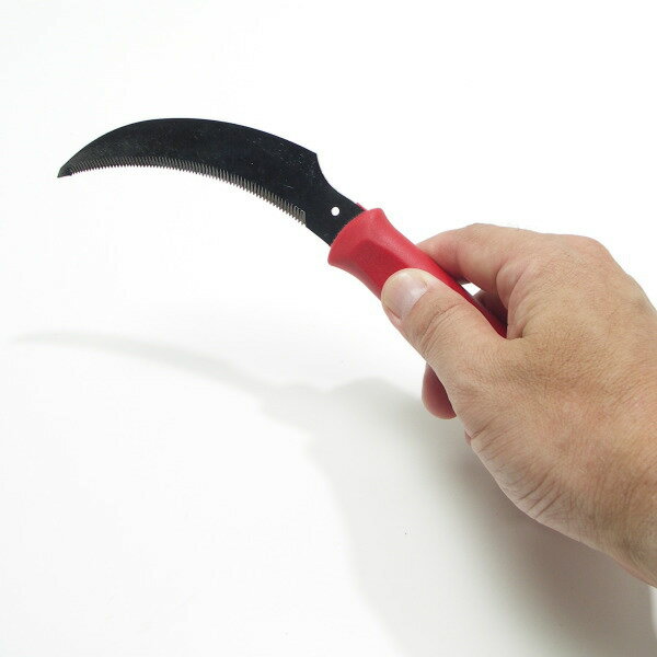 ���֥�����ڤ���֡�240mm��No35024