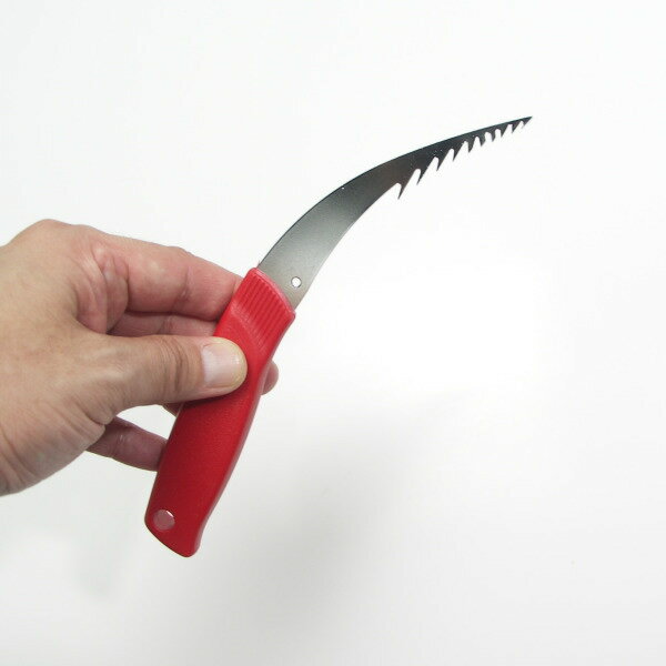 ���֥��������֡�215mm��No35021