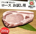 【お試し用】ブランド豚 ばんぶぅ ロース 200g 茨城県産 真空パック 冷蔵